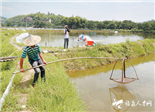 轉(zhuǎn)變模式，小海里“淘金”