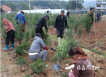 人勤春早 點(diǎn)頭農(nóng)民建起珍稀樹(shù)種苗圃基地展希望